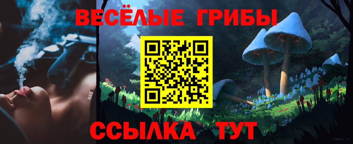 Псилоцибиновые грибы Psilocybe  Вход с VPN  Донецк 
